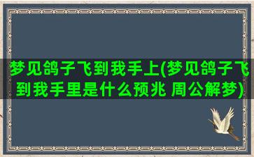 梦见鸽子飞到我手上(梦见鸽子飞到我手里是什么预兆 周公解梦)